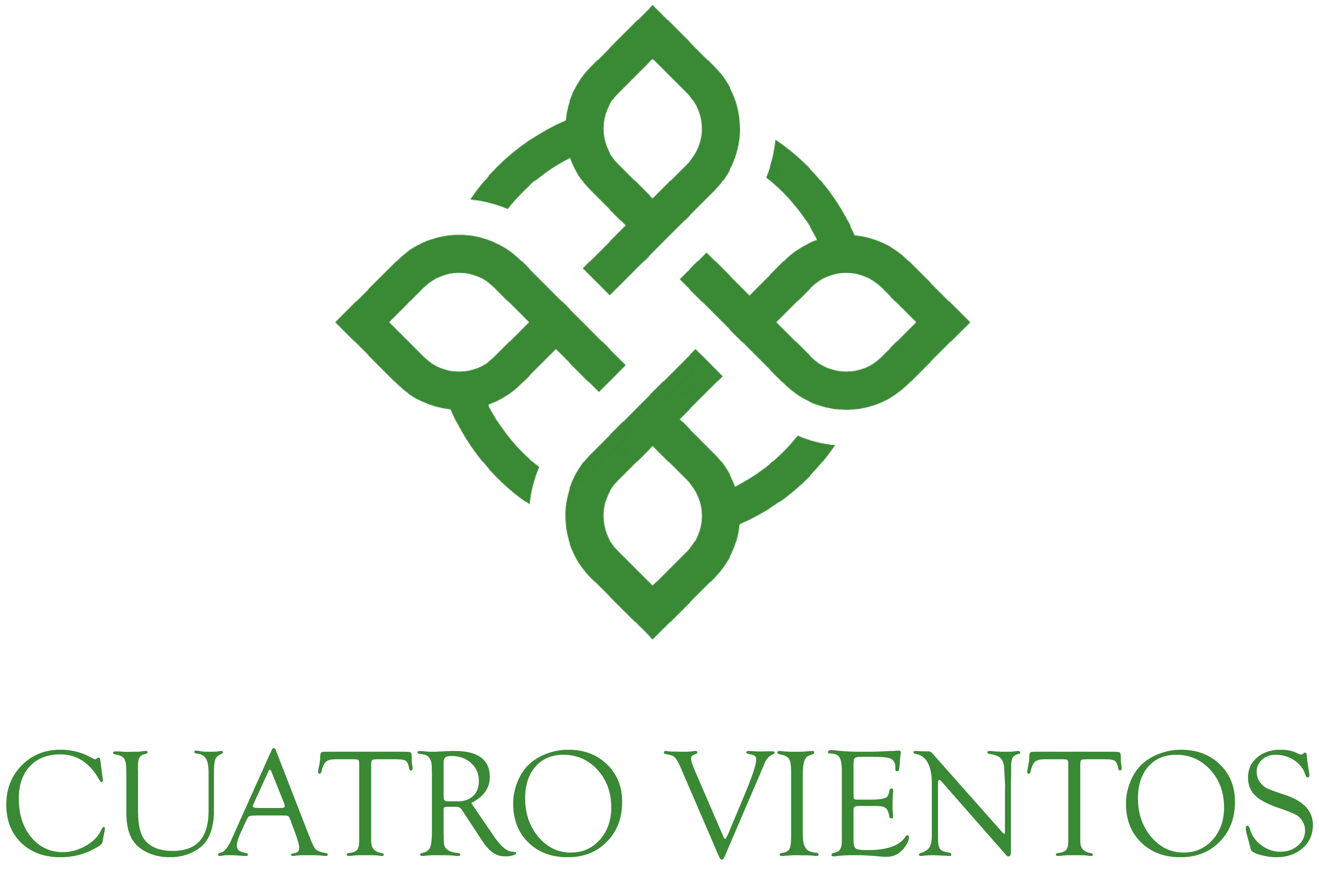 https://www.cvientos.com/